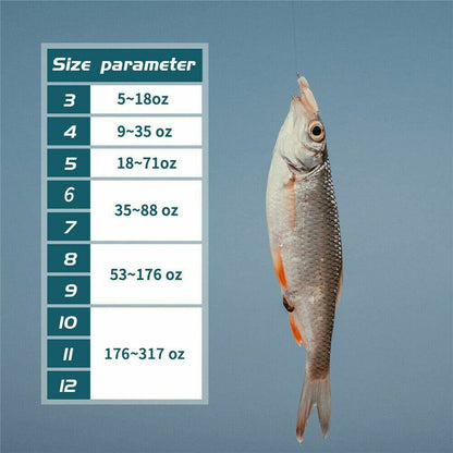 500pcs Fish Hooks 10 Sizes  | Tiny Fishing  |  Fish Hooks.
